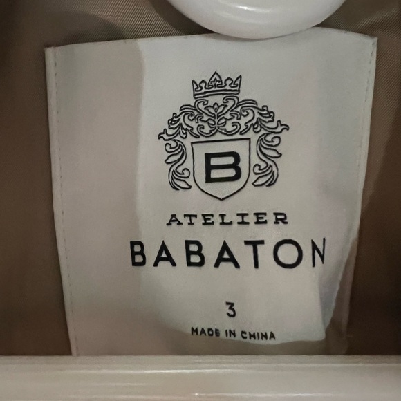 Aritzia Babaton Slouch Coat - Picture 3 of 5